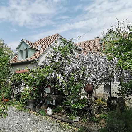 Forest View Studio Apartment Kaposhomok ภายนอก รูปภาพ