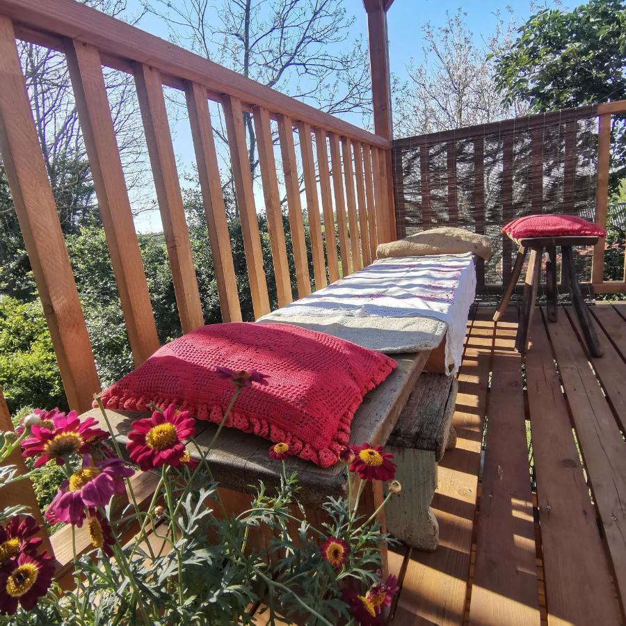 Forest View Studio Apartment Kaposhomok ภายนอก รูปภาพ