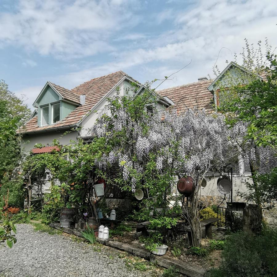 Forest View Studio Apartment Kaposhomok ภายนอก รูปภาพ